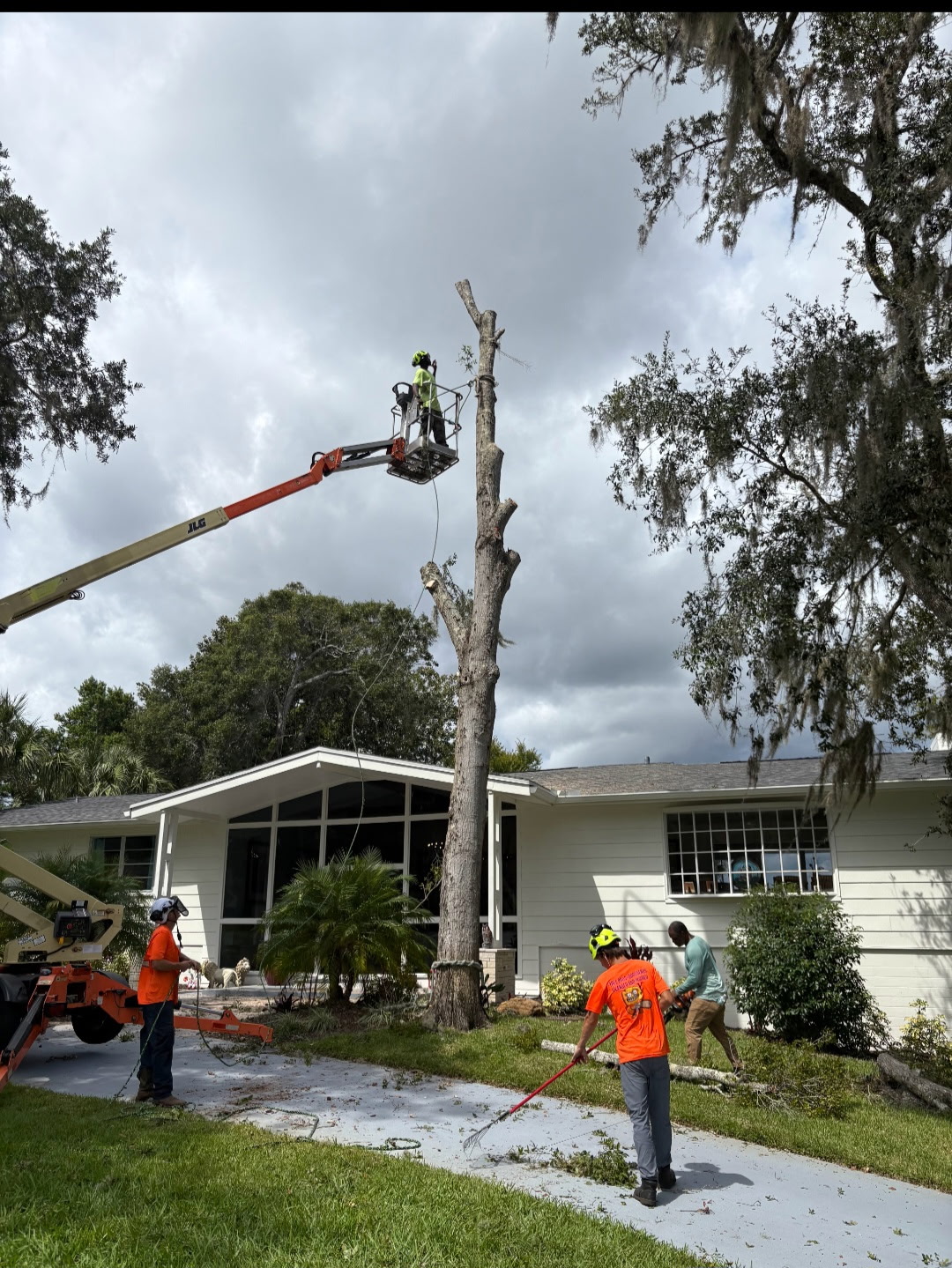 Tree Pro crew removing large tree next to home in Volusia County FL