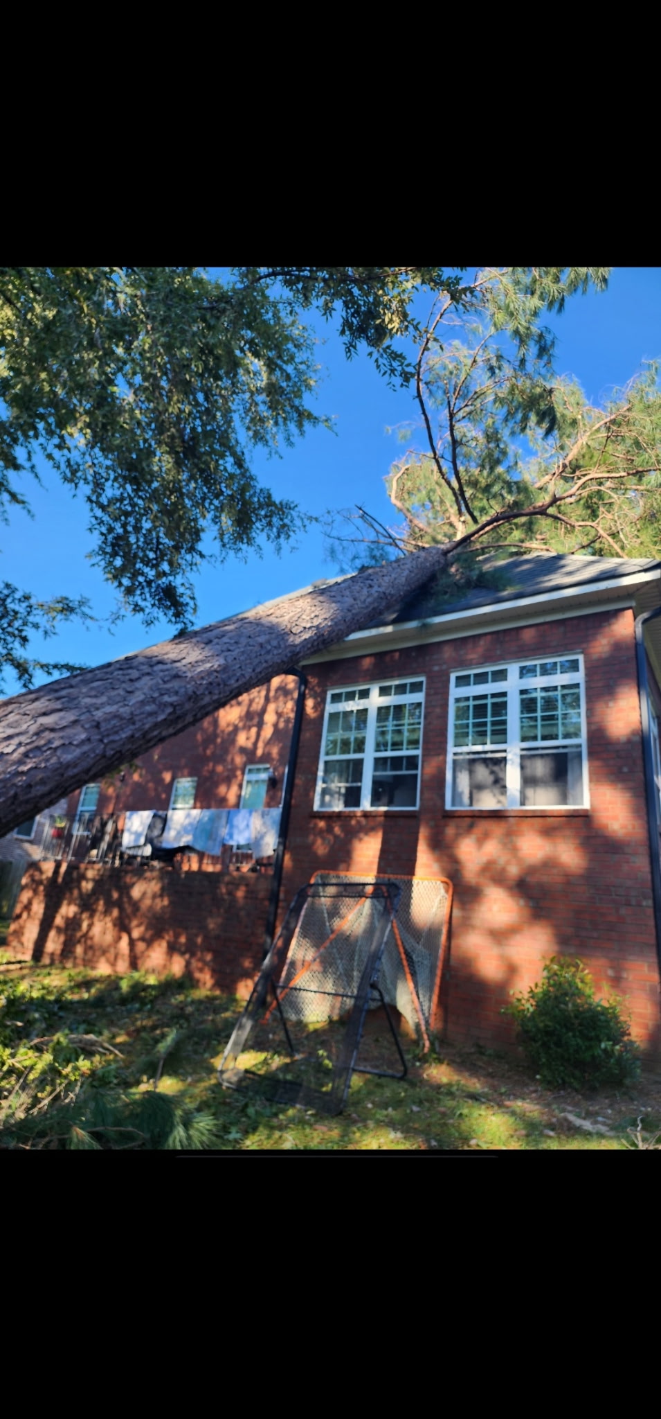 Tree fallen on house after storm — emergency removal by Tree Pro Volusia County FL